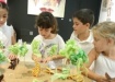 Taller de la naturaleza